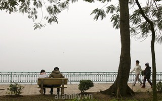 Biểu hiện dễ nhận thấy của bệnh u xơ tuyến vú